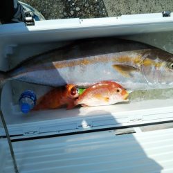 船・ジギング釣り果